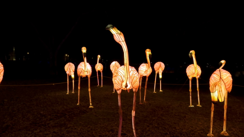 Flamingo lights in the park in Beijing China seen at a night time