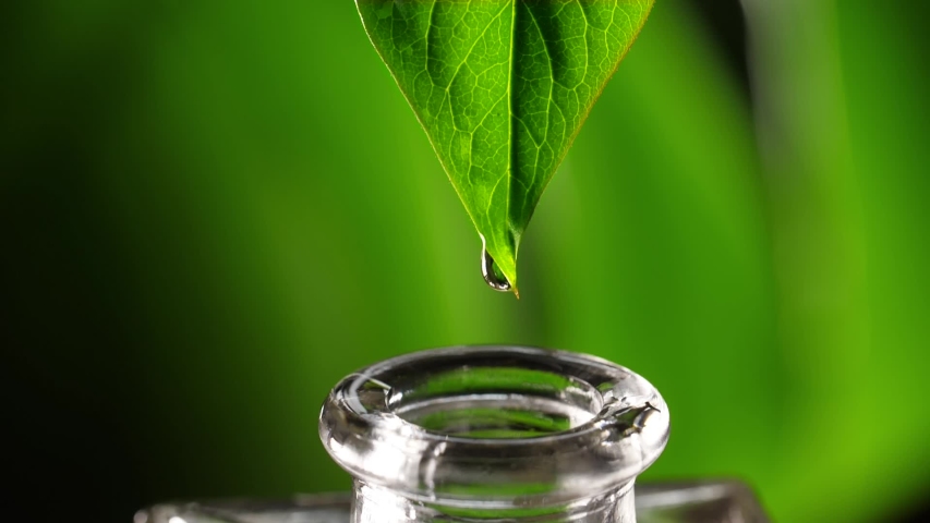 Herbal essence. Alternative healthy medicine | Shutterstock HD Video #1052758055