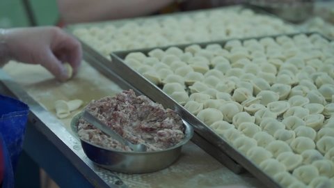 Close up female hands makes dumplings with minced meat. Male cook quickly and skillfully makes dumplings, Making pork meat dumpling at home. Pelmeni - national Russian, Traditional Russian cuisine.