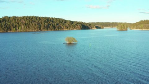 Sweden nature drone shot of tiny  single tree island on rocks in the middle of a lake in natural environment. Forest shoreline in background aerial view. Beautiful soft afternoon or evening light
