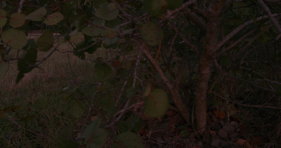 Athletic couple finishing run together