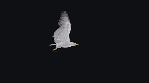Seagull - 4K Flying Loop - Side View - Alpha Channel