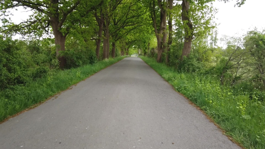 Environment freshness at village with clouds and natural elements