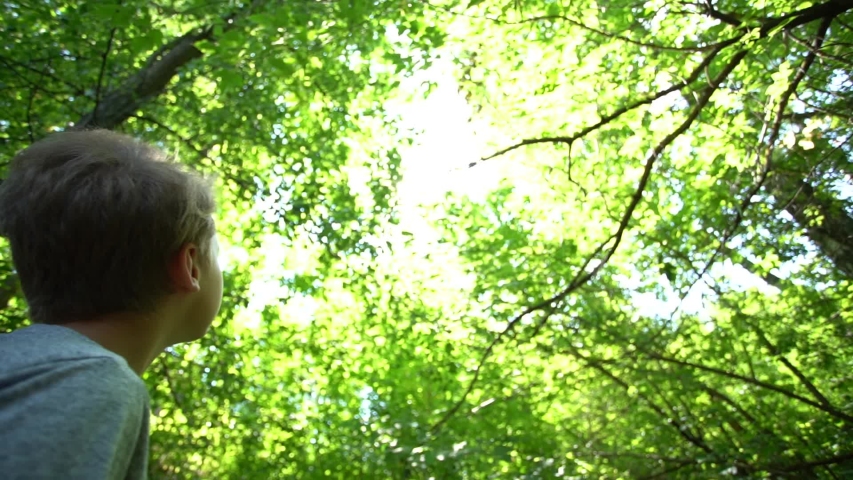 Closeup view video portrait of handsome young caucasian kid looking up in sunny sky enjoying beauty of green spring or summer nature.