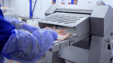 DONETSK, UKRAINE-DECEMBER 15,2018-employees of the meat processing plant shove unprocessed pieces of meat into a Skinner or skinning machine.