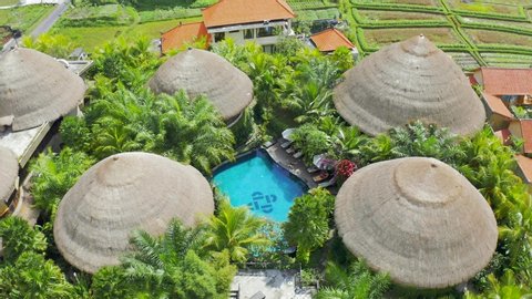 Beautiful exotic tropical villas with pool and around palm trees in Ubud, Bali, Indonesia. Aerial view 4K.
