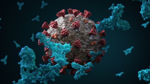 Covid-19 Antibody Animation 3d realistic Rendering corona virus potential cure