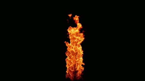 Fire Flames Looped Torch Ignited Burning. Real Flames Ignited On A Black Background. Real Fire. Transparent Background Fire Visual Effect.