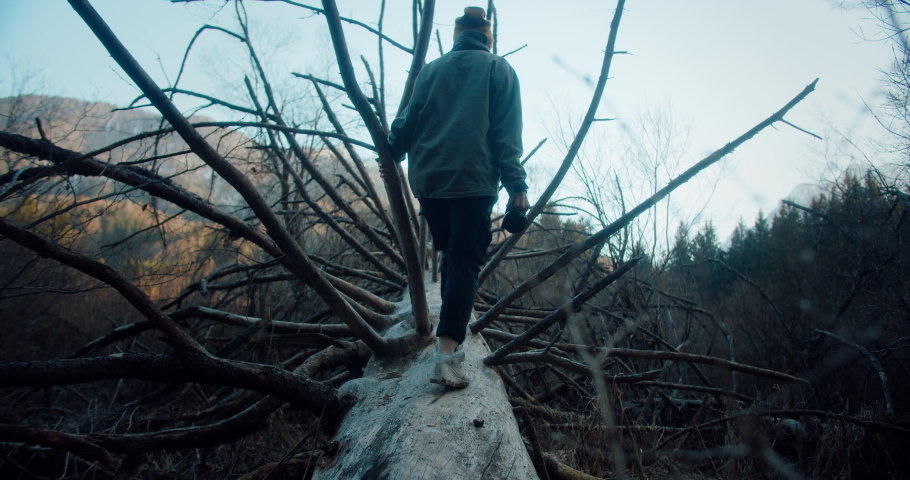 A girl walking up a scenic fallen tree in a natural reserve