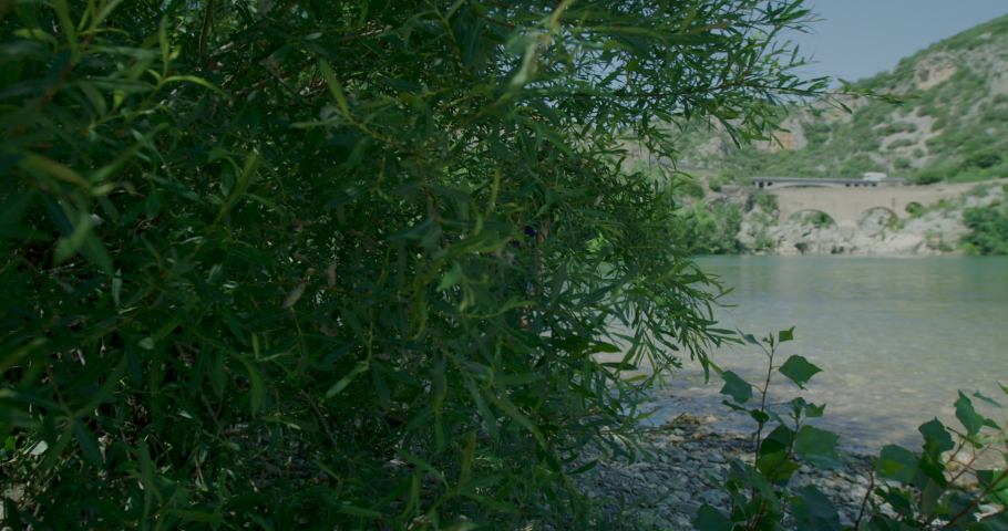Sisters playing with there cute labrador 
 puppy next to the Herault river , in the pont du diable area, occitanie