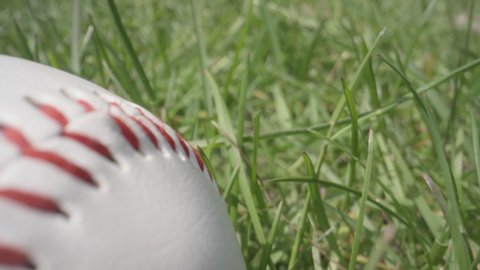 Close up macro of a baseball in the grass of a stadium - America's pass time