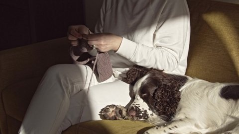 Woman knitting scarf with dog lying on the couch