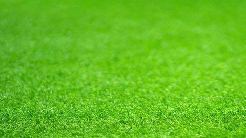 Artificial grass texture camera pan, Animated move right, Green artificial grass sport club background.