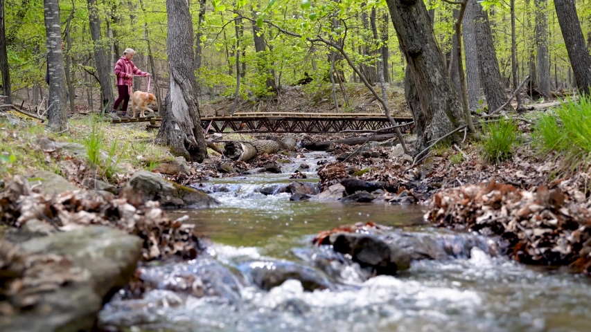 Mature couple with dog walking across a bridge over a river in a forest.