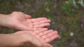 Close up video of anonymous little child hands touching hands of young mother with love. Happy family of mother and son or daughter having fun outside on summer day. Human hands at nature background.