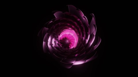 3D abstract composition. Rose Flower. 4K animation. Opening long blooming red flower. Space beauty