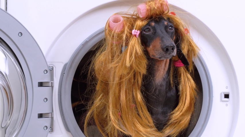 wig washing machine