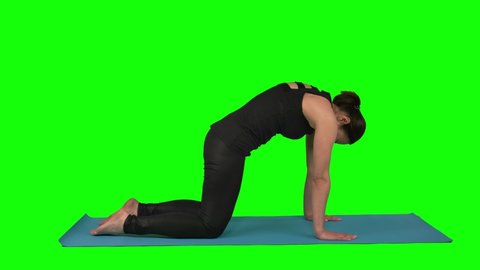 Fitness woman practicing cat cow pose enjoying fitness lifestyle exercising against green screen at studio