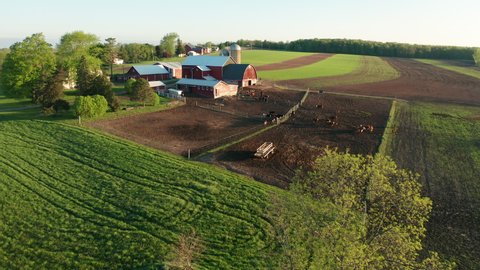 Aerial view of american countryside landscape. Farm, red barn, cows. Rural scenery, farmland. Sunny morning, spring summer season  
