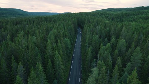 Aerial shot of driving cars in the forest 