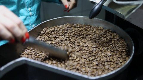 Close up of barista woman hand mixing fresh coffee beans in roasting machine. Selective focus. Concept of drink, work, gastronomy, industry, food, agriculture and organic.