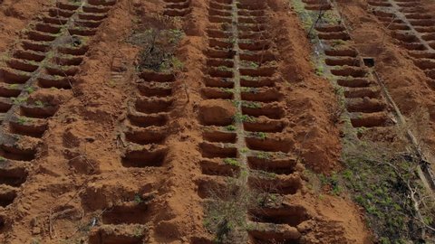 Drone Aerial view of open pits graves in Sao Luiz Cemetery, Sao Paulo Brazil during covid19 coronavirus pandemic

