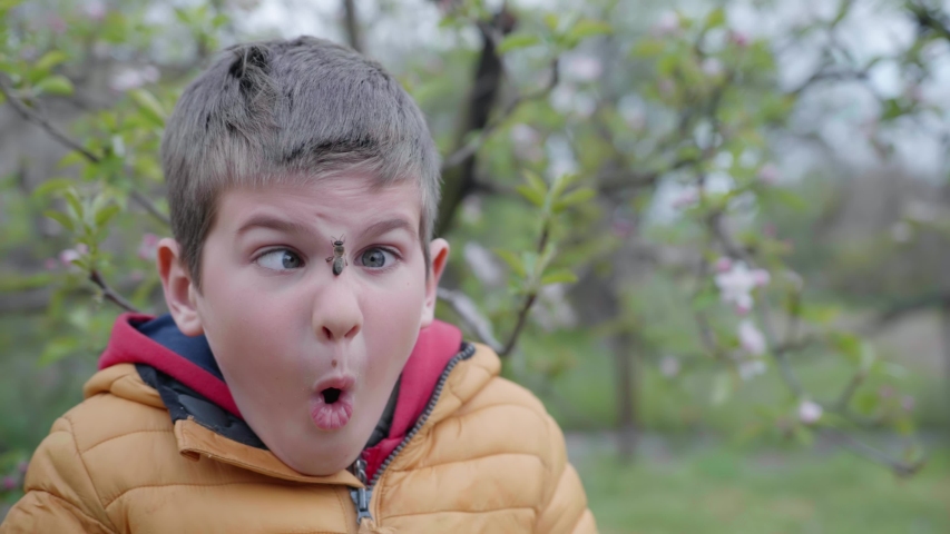 Portrait of a funny boy who has a honey bee on his face, a forgotten child is afraid of an insect bite on a warm sunny day | Shutterstock HD Video #1052917325
