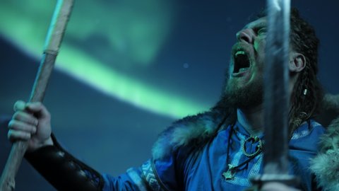 Viking warrior against Aurora Borealis