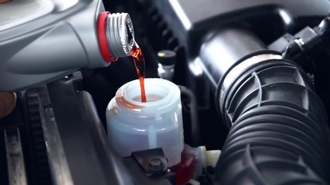 Mechanic is filling clean fresh gear oil or synthetic oil in engine. Auto mechanic is replacing and pouring fresh oil into engine. changing the gear oil.