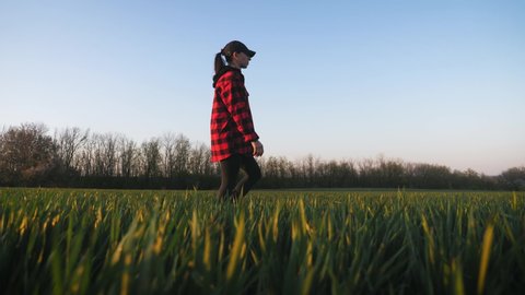 Farmer girl walking beside green wheat field enjoying the sun. Female farmer in plaid shirt and hat walks through the field. A worker go with his rubber boots at sunset time. Concept of agricultural.