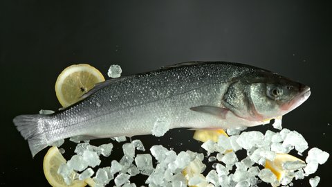 Super Slow Motion Shot of Flying Fresh Sea Bass Fish with Crushed Ice and Lemon at 1000 fps.