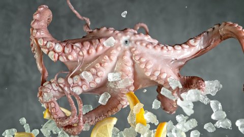 Super Slow Motion Shot of Flying Fresh Octopus, Crushed Ice and Lemon Slices at 1000 fps.