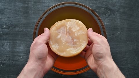 Kombucha SCOBY disk Symbiotic culture of bacteria and yeast in the hand of an unrecognizable man. Cooking healthy probiotic kombucha drink. Dark rustic wooden table. Top view