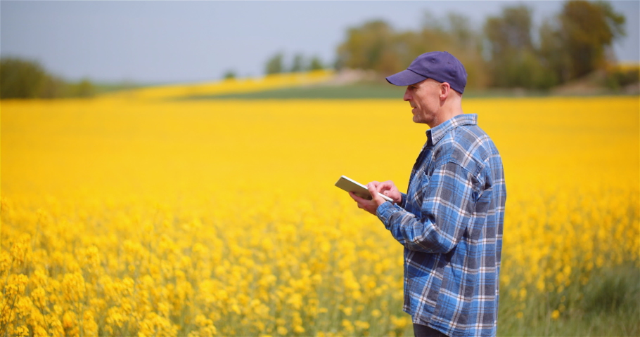 Farmer Examining Rapeseed Crops at Farm Agriculture Concept. Royalty-Free Stock Footage #1052943179