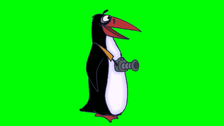 Cartoon character penguin-three different characters-walk in a loop on a chromakey background.