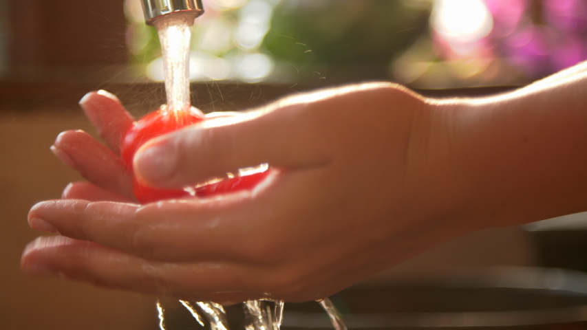 Women's hands washing cherry tomatoes under tap water, 4k | Shutterstock HD Video #1052947661