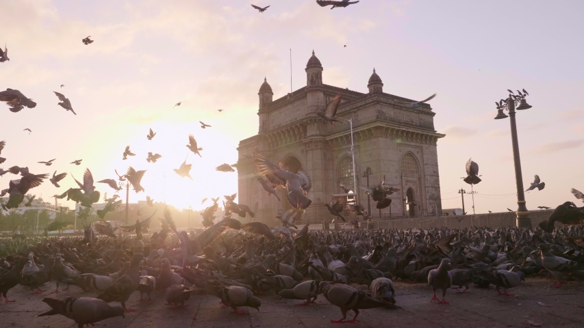 Shot of empty Gateway India with pigeons flying in the foreground and morning sun rising in the background during lockdown amid coronavirus COVID19 pandemic epidemic, Mumbai, India Royalty-Free Stock Footage #1052948438