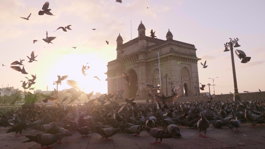 Shutterstock video thumbnail