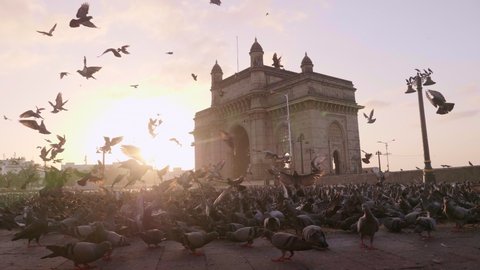 Shot of empty Gateway India with pigeons flying in the foreground and morning sun rising in the background during lockdown amid coronavirus/ COVID19 pandemic/ epidemic, Mumbai, India