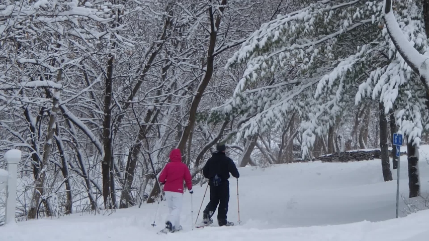 Snowshoeing in a park in winter