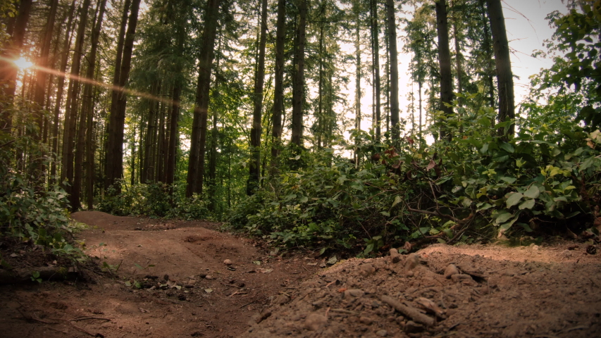 Mountain Bike Rider Passing High Speed on Forest Trail Royalty-Free Stock Footage #1052972117