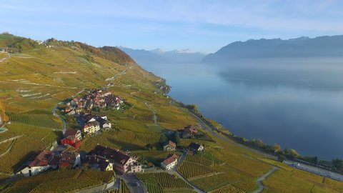 Lavaux, Switzerland - October 30, 2015: The Lavaux is a famous wine-growing region in the canton of Vaud in Switzerland on the northeastern shore of Lake Geneva, extending between Lausanne and Vevey