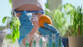 GMO geneticaly modified food concept. Female scientist biologist injecting chemicals into fruit lemon with syringe in lab, Biological research genetic engineering laboratory, biotechnology 4 K slow-mo - Powered by Shutterstock - Get 15% off with code: PIKWIZARD15