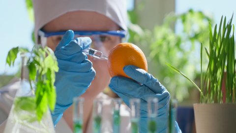 GMO geneticaly modified food concept. Female scientist biologist injecting chemicals into fruit lemon with syringe in lab, Biological research genetic engineering laboratory, biotechnology 4 K slow-mo