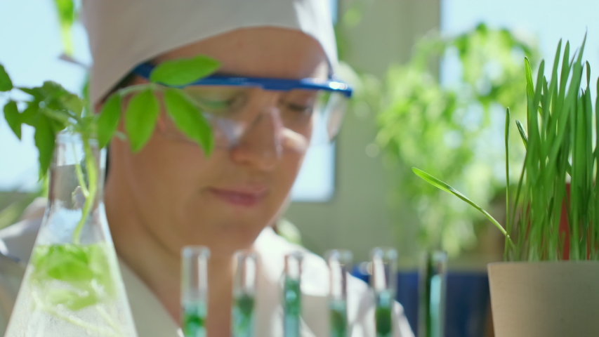 Female scientist biologist researcher testing seedling plant test tube lab. Biological agriculture research genetic engineering laboratory, seeds food farming GMO geneticaly modified food. 4 K slow-mo Royalty-Free Stock Footage #1052976680
