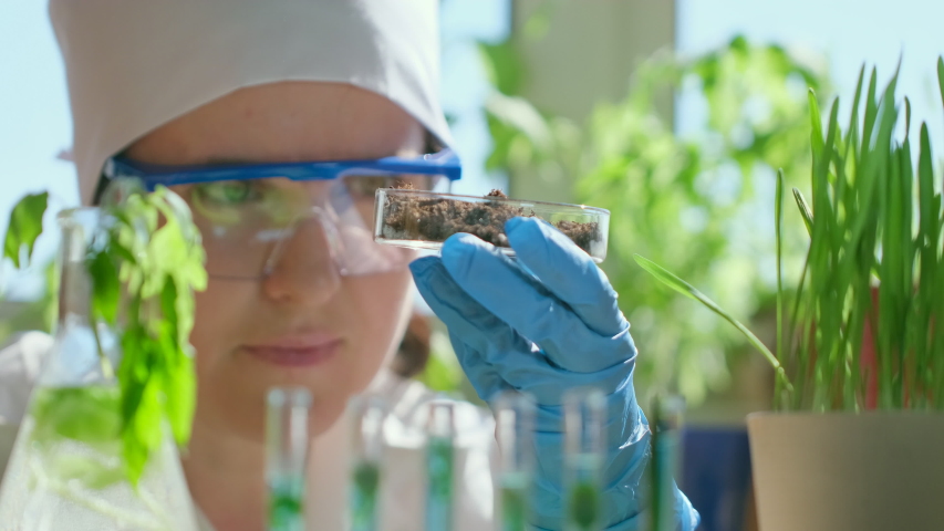 Female woman ecologist scientist biologist researcher with test tube liquid, samples ground plant in Petri dish in lab, Biological research genetic engineering laboratory, food farming 4 K slowmo