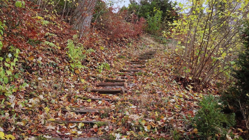 Stairs with autumn leaves in tha Castle Park Hoehenried, Bernried, Bavaria, Germany, Europe