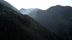 Mountain, Alps, foog, tree, drone video, cinematic