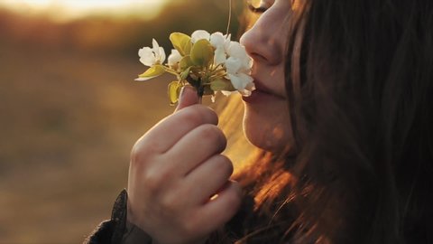A beautiful young girl holds in her hand a twig with the flowers of an apple tree and enjoys its aroma while walking in the garden against the setting sun. Close-up. Slow motion