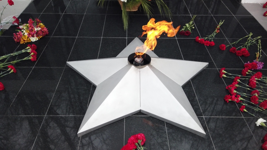 Red flowers lay near eternal fire on memorial of Second World War, closeup view. Slow motion.